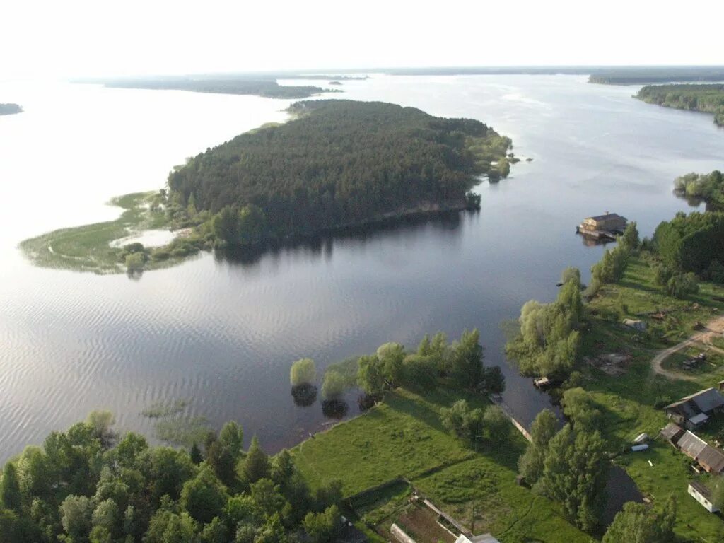 Остров Центральный Рыбинское водохранилище. Остров Ваганиха Рыбинское водохранилище. Дарвинский заповедник Рыбинское водохранилище. Рыбинск остров Центральный. Места на рыбинском