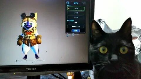 Кот создавать игры