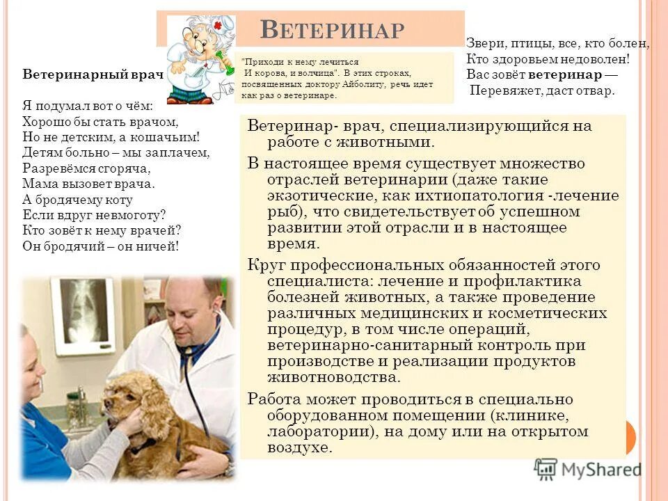 Программа ветеринар. План развития ветеринарии. Множество отраслей ветеринарии. Возможные пути развития ветеринарного врача:. Множество отраслей ветеринарии ихтиопатология.