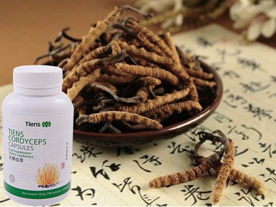 Кордицепс (экстракт), капсулы, 400 мг, 100 кап. Кордицепс спб. Кордицепс. Кордицепс ликэ жидкий. Эликсир "король кордицепс" ("императорский кордицепс")(ликэ).