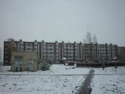 Новый свет гатчинский