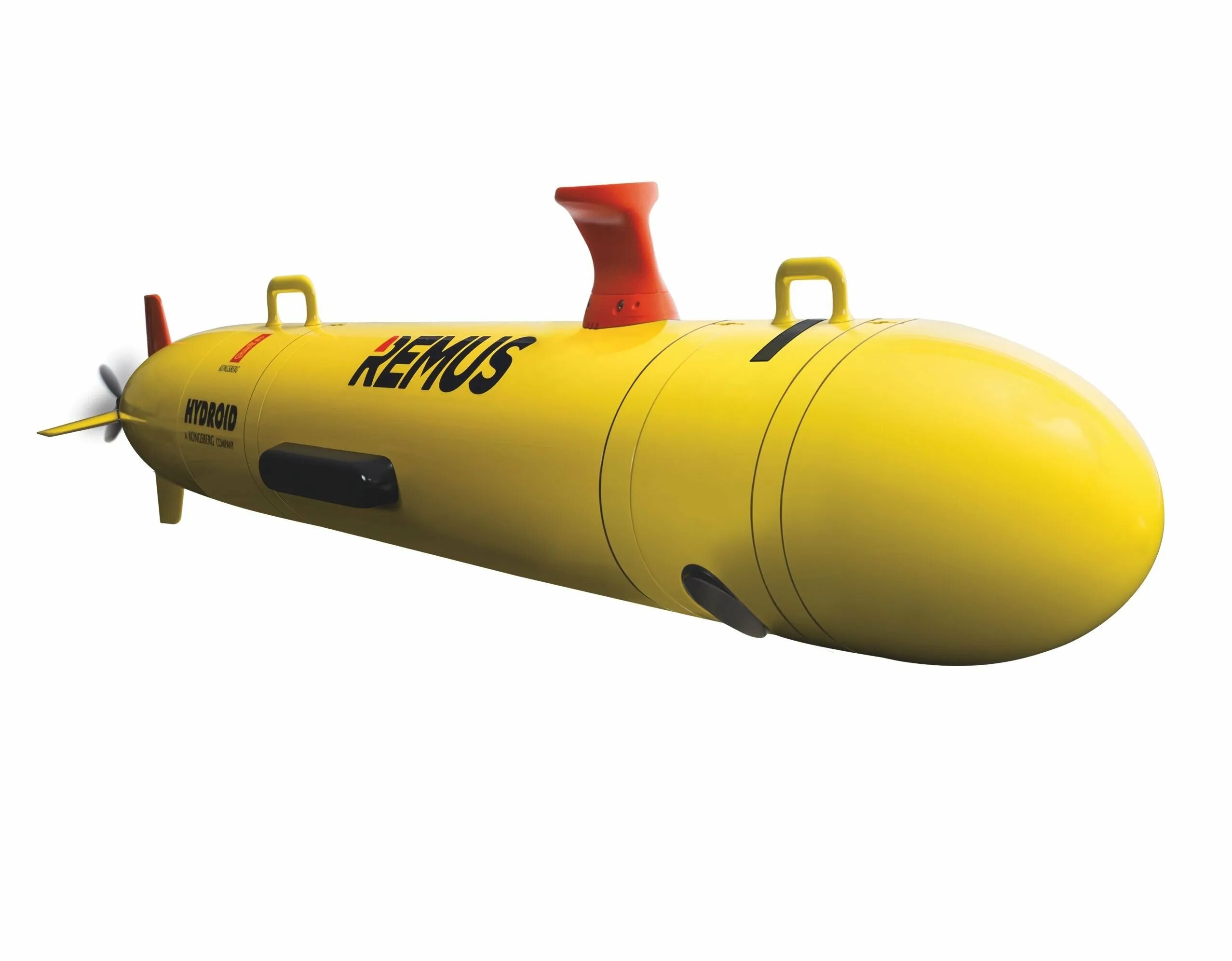 Автономный подводный аппарат Remus 100. Remus 100 AUV (remus100.m). АНПА Remus 6000. Автономный подводный аппарат Seal 5000.