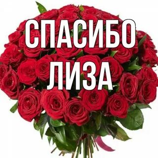 Любимой лизе