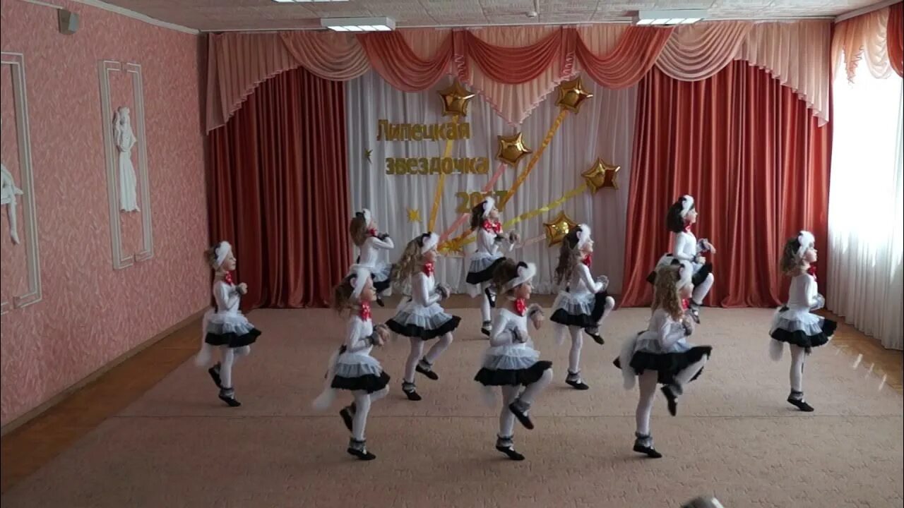 Дети танец кошечек. Кошка детский танец. Кошачий танец для детей. Детский танец кошек. Кошачий танец для детей.