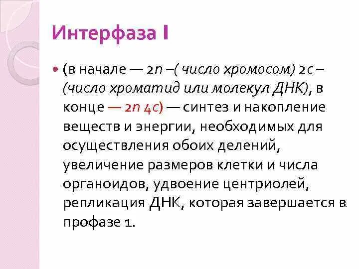 Число хромосом и хроматид в интерфазе. Интерфаза количество хромосом и хроматид. Число хроматид в интерфазе. Интерфаза количество хромосом и хроматидов.