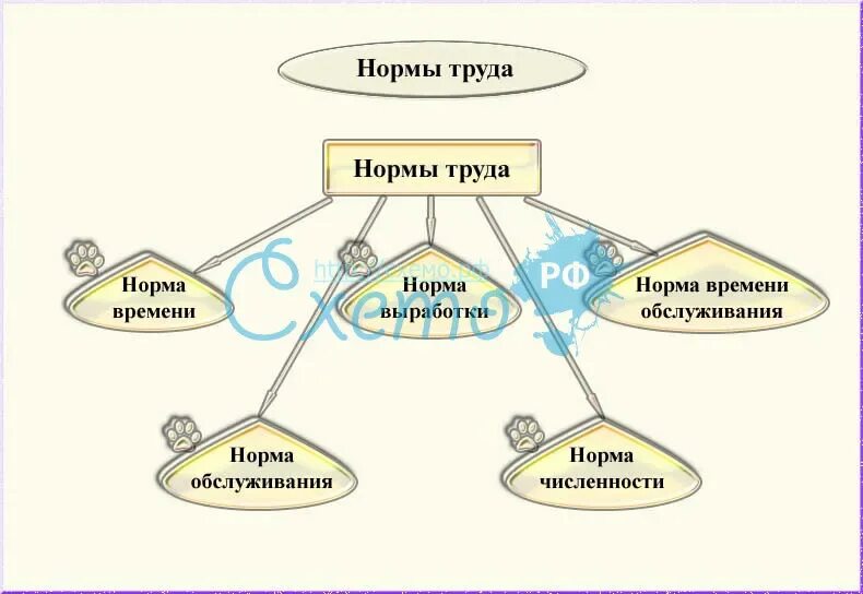 Виды норм в экономике. Какие позиции относятся к нормам труда. К нормам труда относятся нормы:. Виды норм труда схема. Какие из названных позиций относятся к нормам труда.