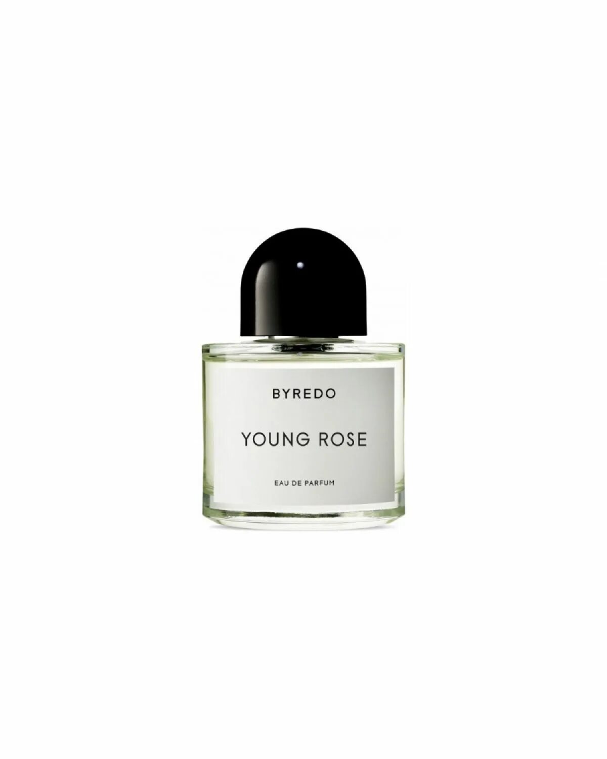 Byredo young Rose 100 ml. Парфюм Byredo oud Immortel. Духи Byredo bibliotheque. Byredo Rose Noir Eau de Parfum, 100 ml. Купить духи байредо