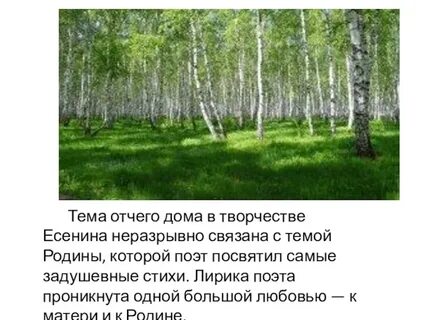 Сочинение есенин тема родины
