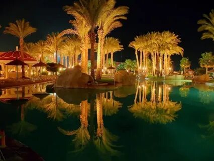 Шармаль шейх погода в ноябре 2024