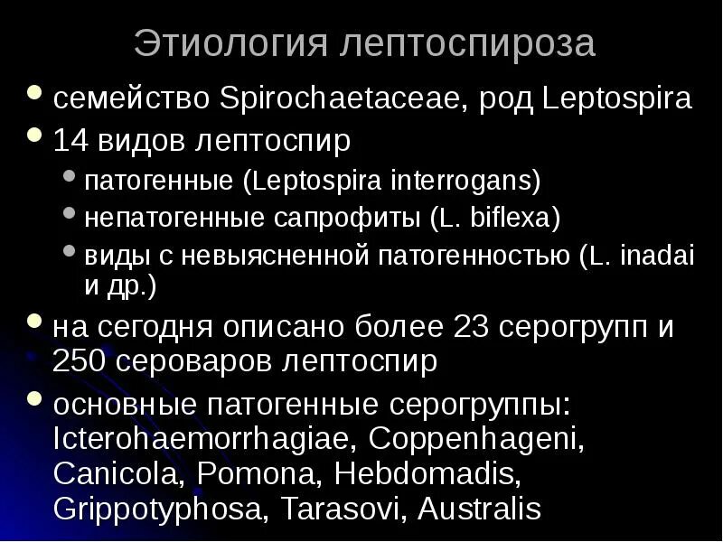 Лептоспироз этиология. Лептоспироз презентация. Лептоспироз инкубационный период. Лептоспиры этиология. Лептоспироз патогенез