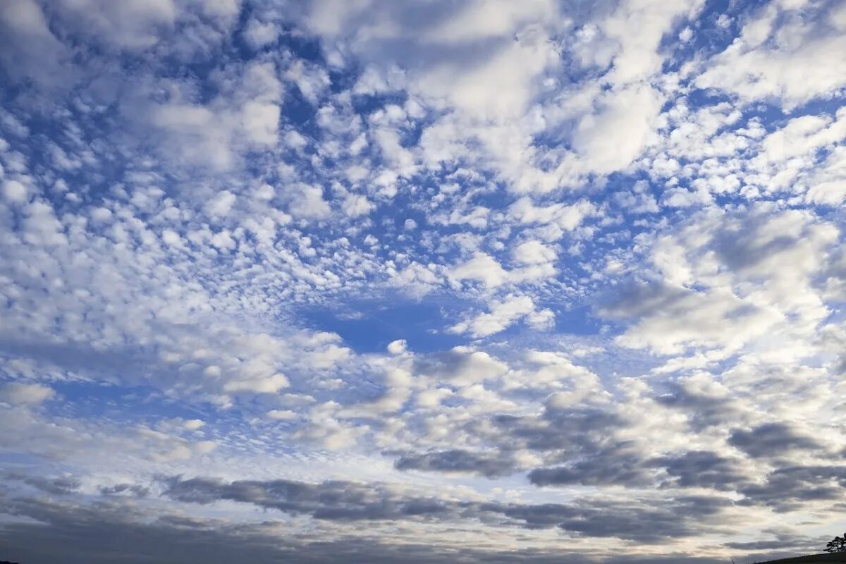 Необычное небо. Красивое небо. Млечный путь светлый. Вот такое небо. Небо закат.