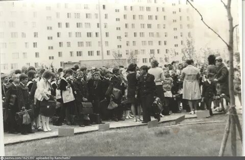 Сайт 594 школы спб