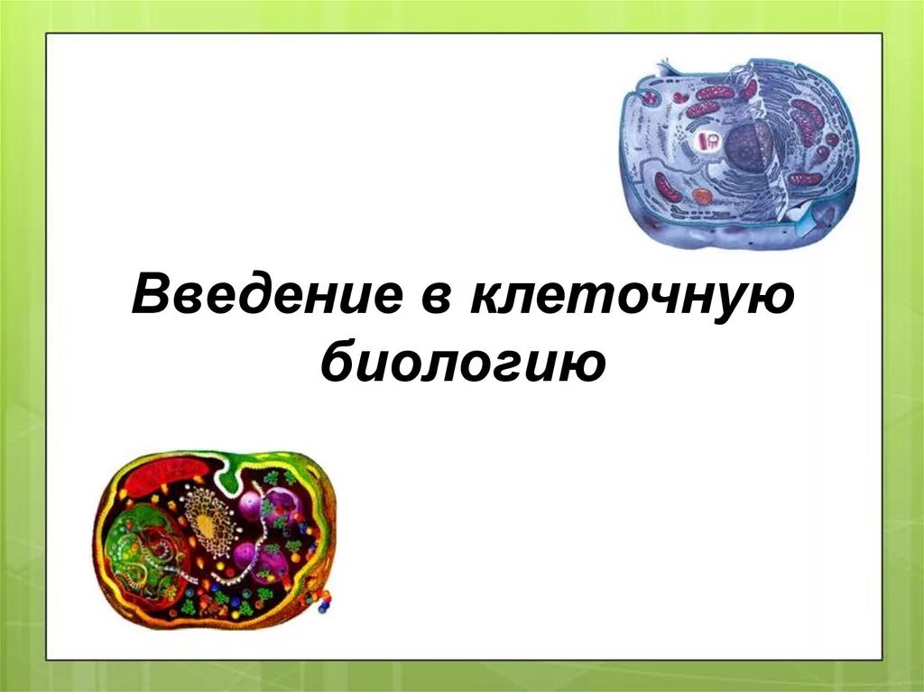 Песня про клетку. Сказка про клетку биология. Сказка про клетку по биологии 5 класс. Сказка про клетку биология 5. Ченцов Введение в клеточную биологию.