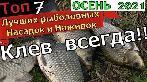 Приманка на карася осенью