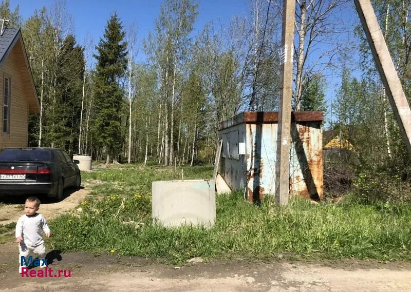 Пожар в массиве форносово снт символ. Погода в снт форносово. Садоводческий массив форносово. Форносово ленинградская область. Снт луч челябинская область.
