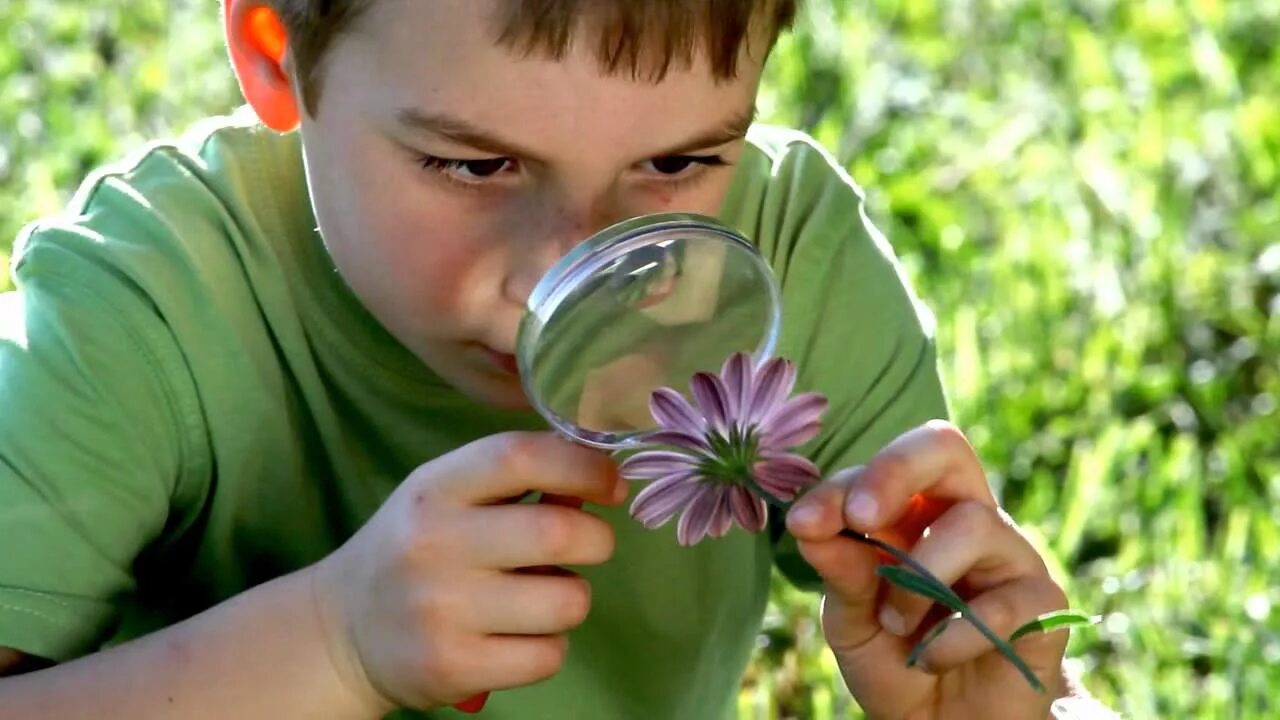 Знакомство детей с природой. Изучение природы. Юные исследователи природы. Дети изучают природу. Дети исследуют природу.