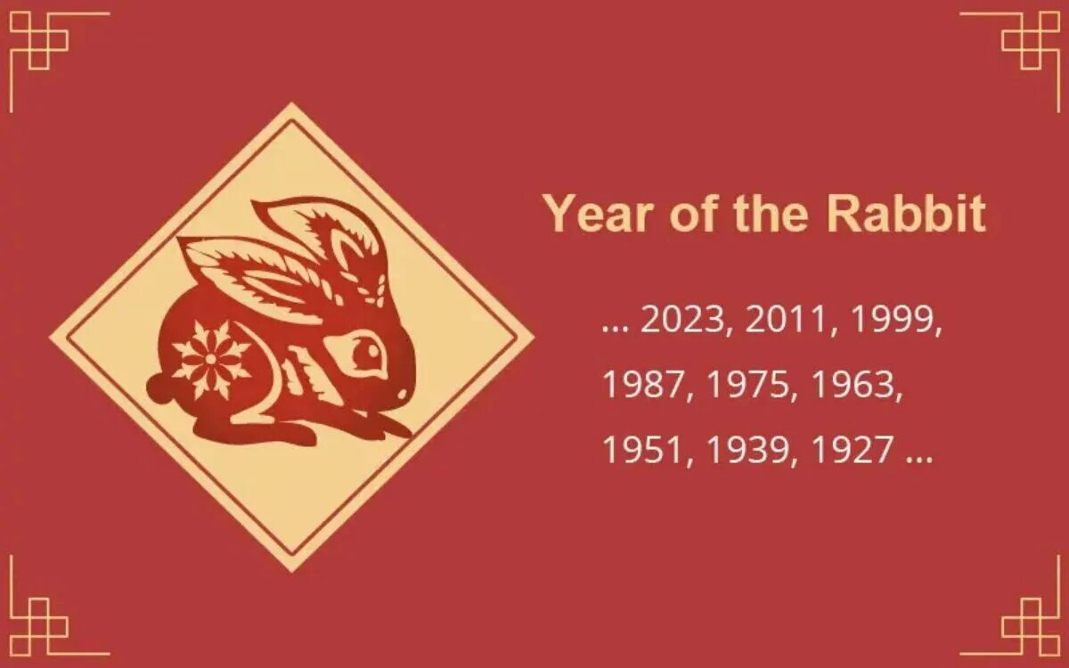 Снежный заяц векторный. Год кролика мальчик. 2023 chinese zodiac. Рыбы год кролика. Заяц мальчик.