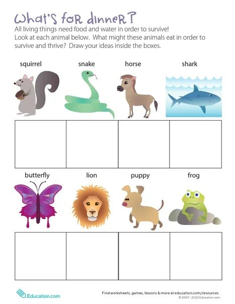 Do they like animals. What animals eat Worksheets for Kids. Animals food Worksheets. Мемо animals Worksheets for Kids. What do animals eat Worksheets.