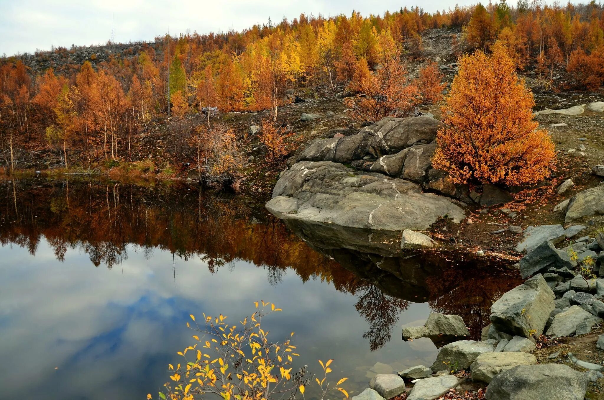 Кольский полуостров Мончегорск. Мончегорск тундра. Мончегорск осень. Мончегорск Мурманская область природа. Вода оленегорск