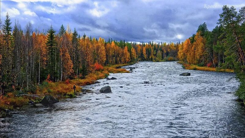 Природа северо запада района. Природа Северо Западного района. Северный экономический район природа. Природа Северо Западного экономического района.