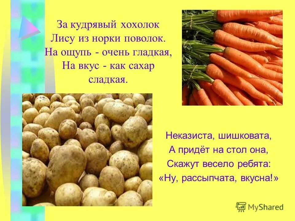 Загадка про 10 лет. Загадка про 10 лет. Загадки про предметы для детей 6-7 лет с ответами. Загадки для детей с ответами. Загадки с числами.