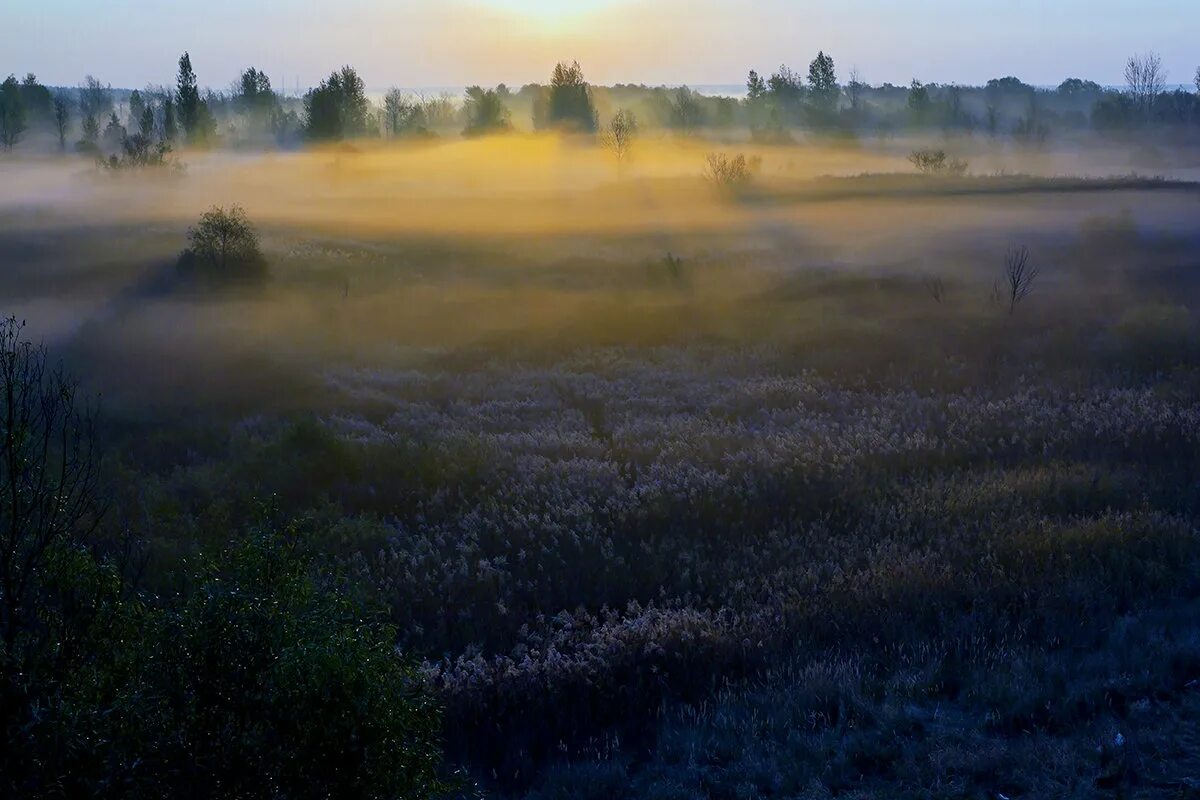 Туманное утро предложения. Туманное утро предложения. Туманное утро. Туман нулевая видимость. Наступило раннее утро.