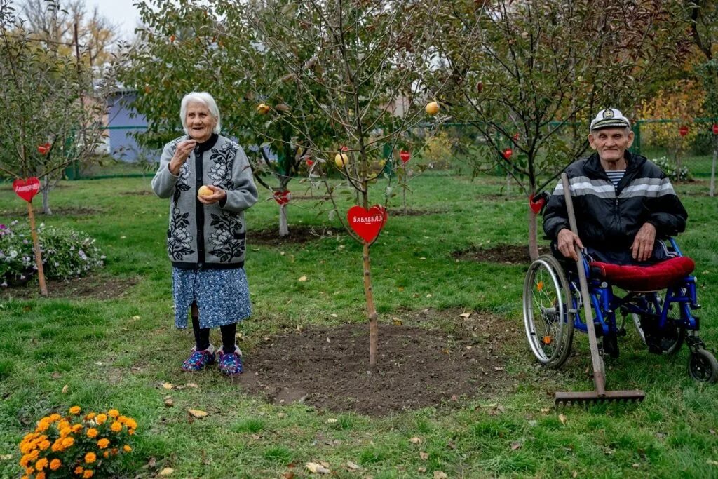Садоводство как хобби. Садовые лечение. Терапевтический сад. Дети рассматривают цветы на клумбе. Садовые лечение.