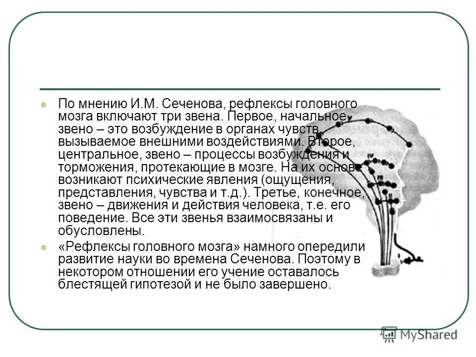 Какие рефлексы выполняет головной мозг. Отделы головного мозга строение функции рефлексы. Какие рефлексы выполняет головной мозг. Строение и функции отделов головного мозга таблица. Рефлексы головного мозга сеченов книга.