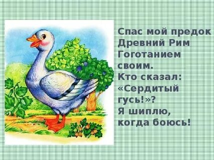 Спас гусей