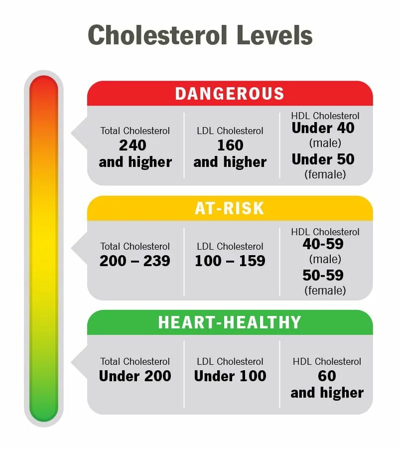 Hdl cholesterol. Холестерол hdl. hdl cholesterol норма mg/dl. cholesterol normal level. hdl холестерин 49.