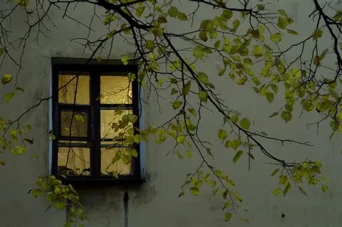 Я стою под окнами дома