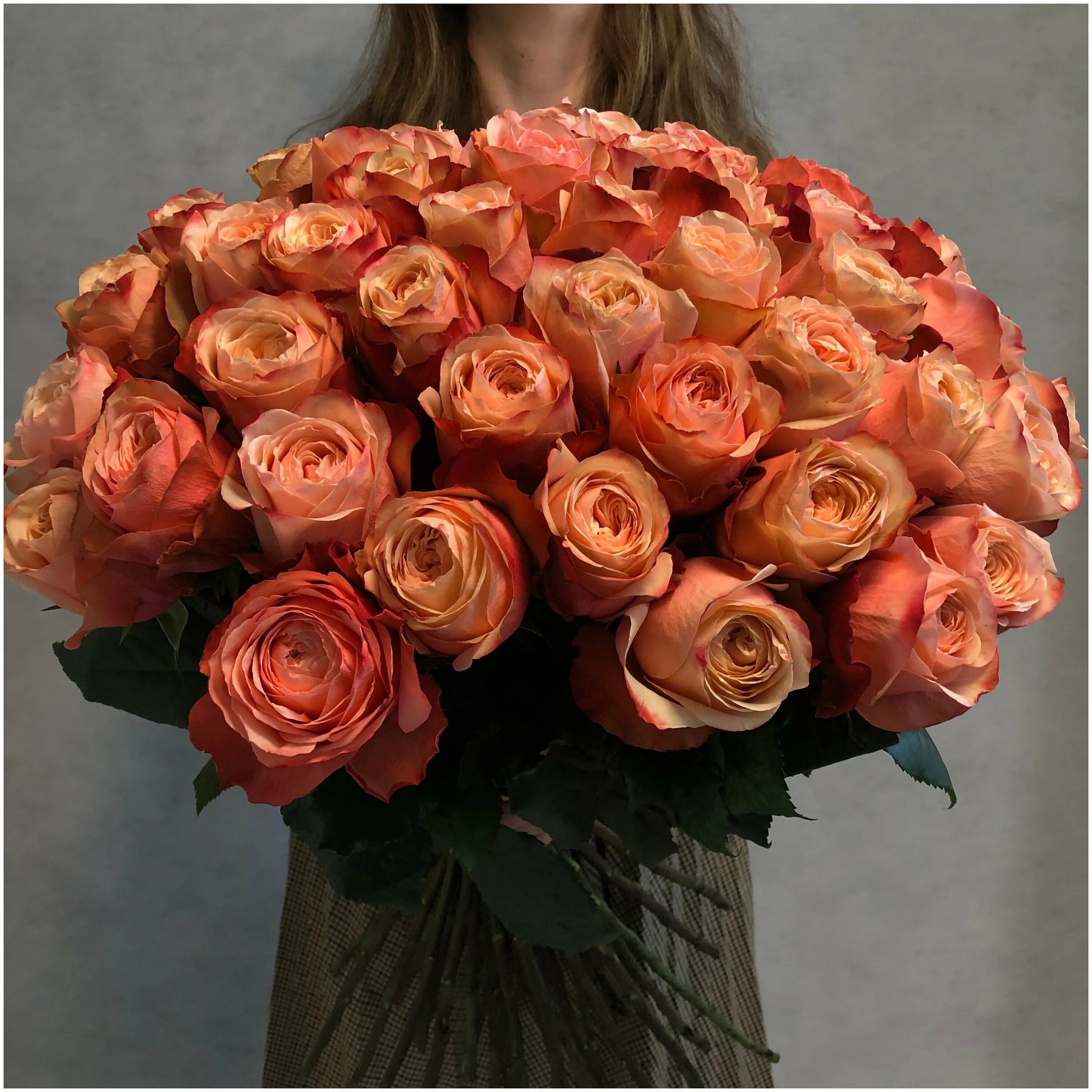 Розы эквадор купить. Сорт розы Кахала. Пионовидные розы Кахала.