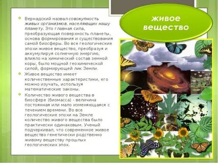 Первыми живыми организмами на нашей планете были