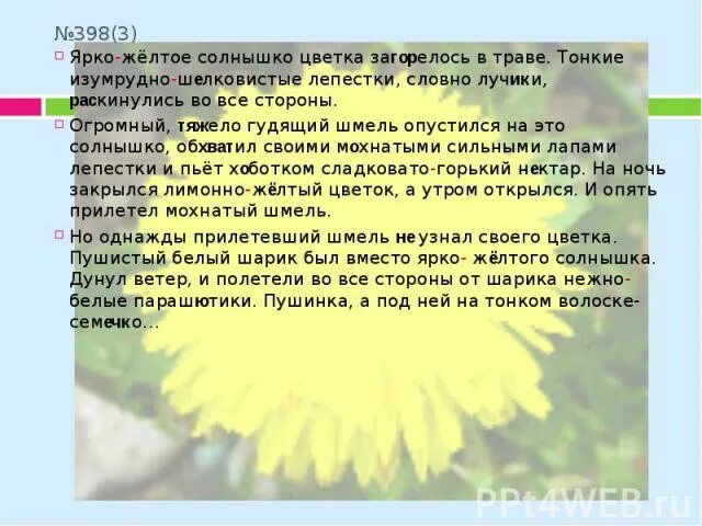 Песня ярко желтые очки районы кварталы. Текст песни ярко желтые очки. Текст песни ярко желтые. Слова песни ярко-жёлтые. Текст песни ярко желтые очки 2 сердечка на брелке.