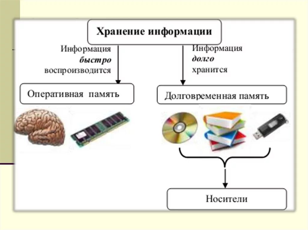 Устройства накопления информации. Схема хранения информации Информатика 5. Схема хранение информации 5 класс Информатика. Заполните схему хранение информации Информатика 5 класс. Заполни схему хранение информации 5 класс Информатика.