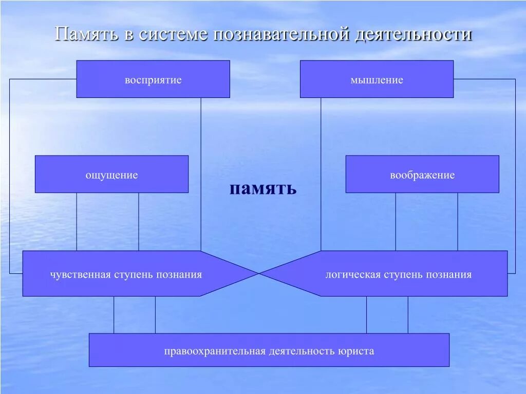 Высший процесс познавательной деятельности человека. Память в познавательной деятельности. Познавательная деятельность схема. Формы процесса познания. Память и деятельность.