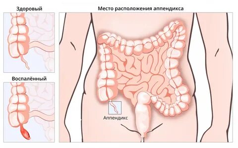 Порно ауызша сперматозоидтардың түкіруі