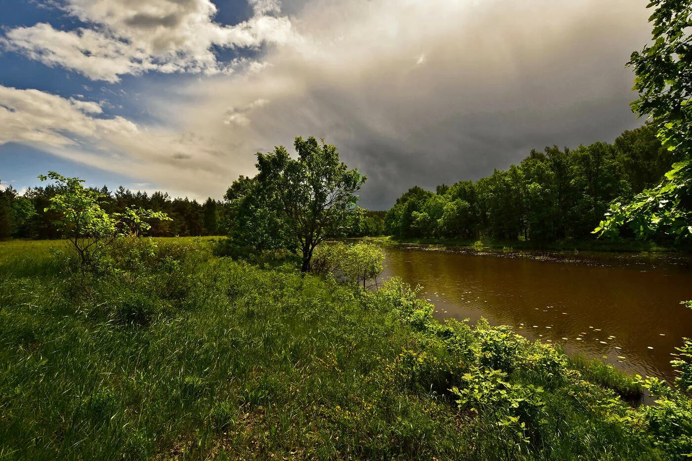 Перед дождем болит. Перед дождем. Природа после грозы. Перед дождем фото. Обои на рабочий стол перед дождем.