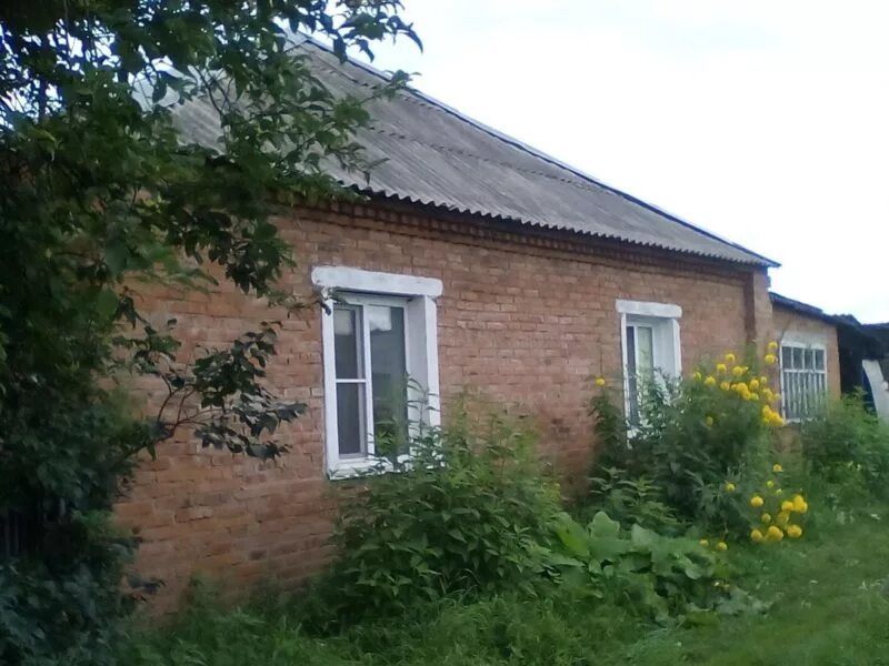Кемеровская область поселок промышленная. Погода на месяц пгт промышленная кемеровская. Промышленная. Хавас пгт промышленная. Публичная кадастровая карта кемеровской обл пгт яшкино 2024г.