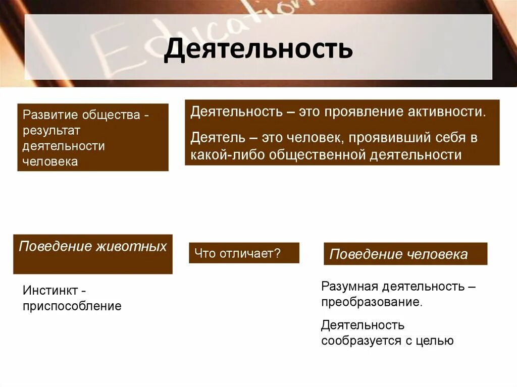 Деятельность в обществе доклад. Разумная деятельность человека. Деятельность общества. Виды деятельности общество. Человеческая деятельность и ее многообразие.