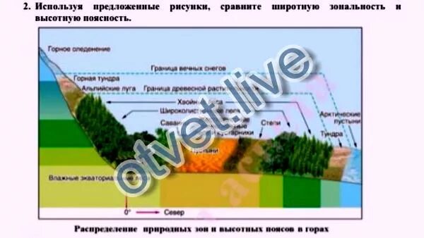 Широтная зональность и Высотная поясность. Различия Широтной зональности и ВЫСОТНОЙ поясности. Различия и сходство Широтной и ВЫСОТНОЙ зональности. Сходства Широтной зональности и ВЫСОТНОЙ поясности. Сравните понятия широтная зональность и высотная поясность