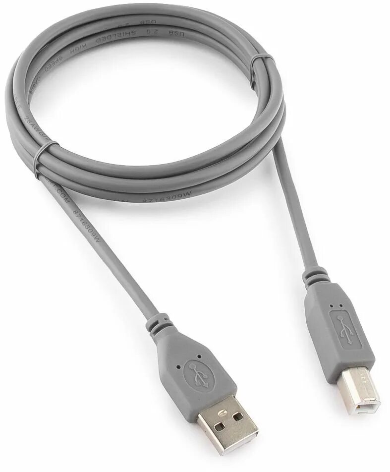 Купим кабель b. Gembird CCP-usb2-AMBM-6. Кабель Cablexpert USB-A - USB-B (CCP-usb2-AMBM-6g) 1.8 м. Кабель USB 2.0 am-BM, 1,8 М. Провод USB 2.0 am-BM 2м.
