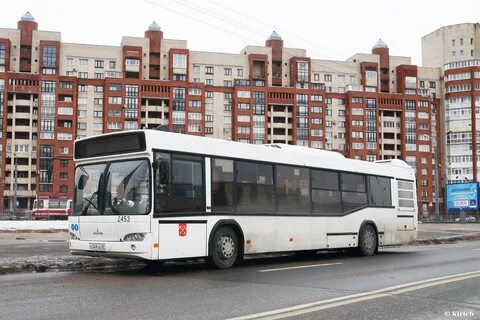 Автобус 486 спб