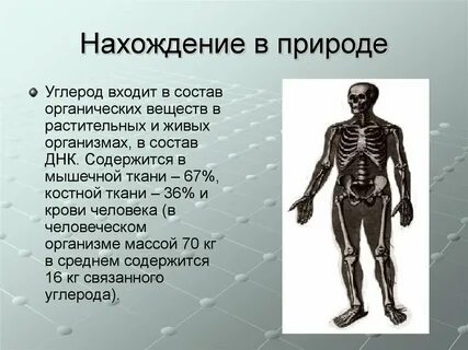 Из каких веществ состоит углерод