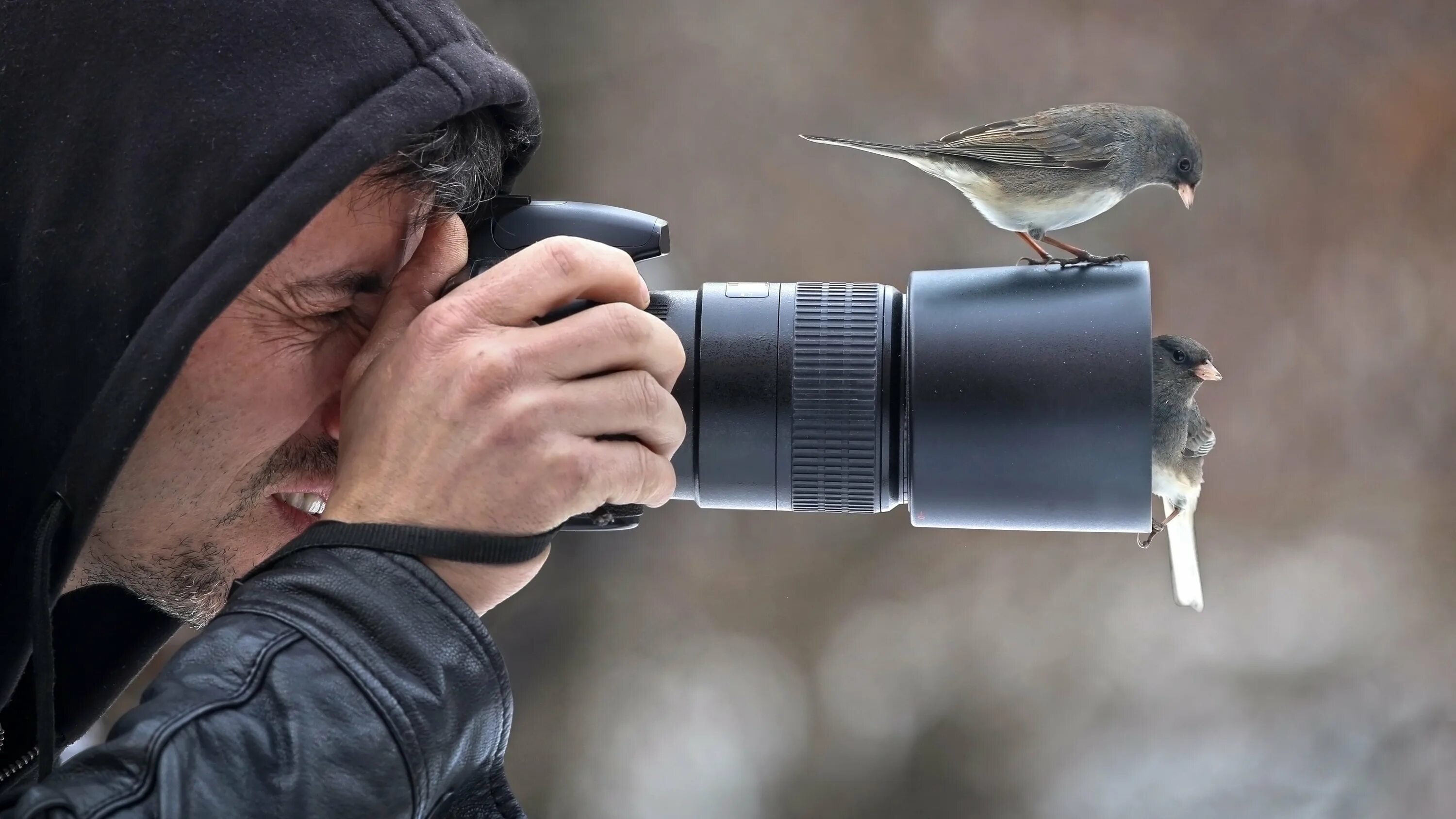 Наблюдение за птицами. Фотограф птиц. Наблюдатель за птицами. Орнитолог. Наблюдать невероятный