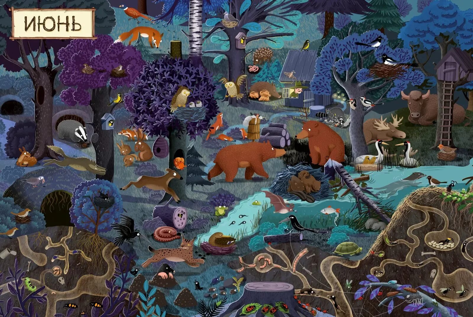 Затерянные земли скиталец. Квест затерянные земли. Сказочный лес. The forest 2008. Игра поиск предметов.