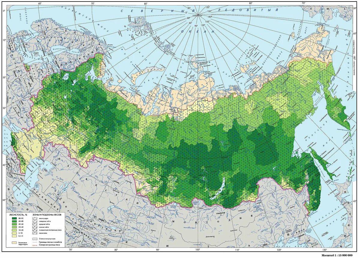 Где находится лес на карте