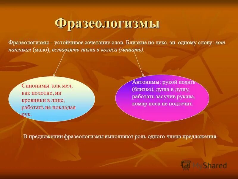 сочетание устойчивых черт