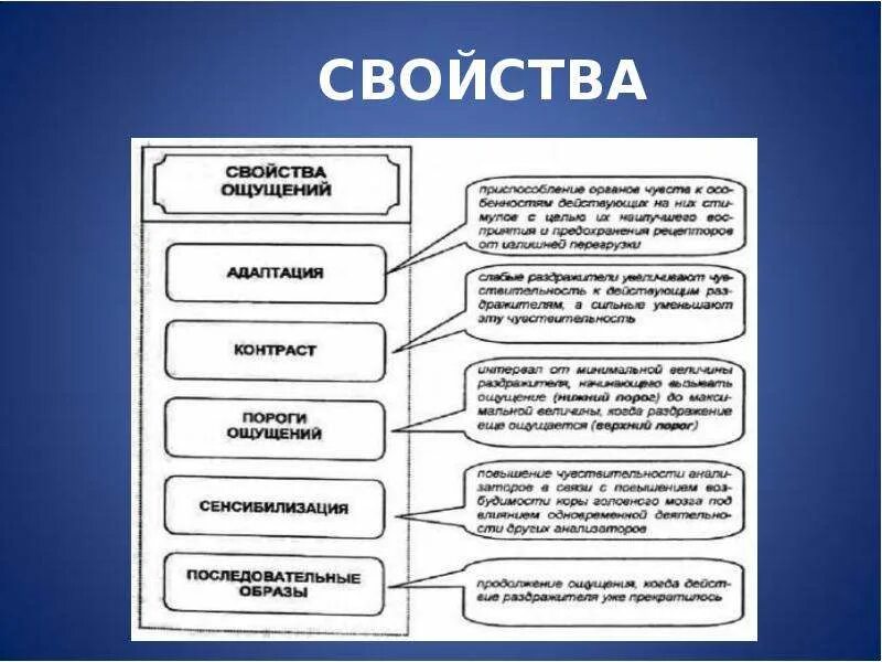 Свойства процесса ощущений. Свойство ощущений таблица порога ощущений адаптация сенсибилизация. Свойства ощущений адаптация. Ощущение и свойства ощущений. Свойства ощущений таблица.