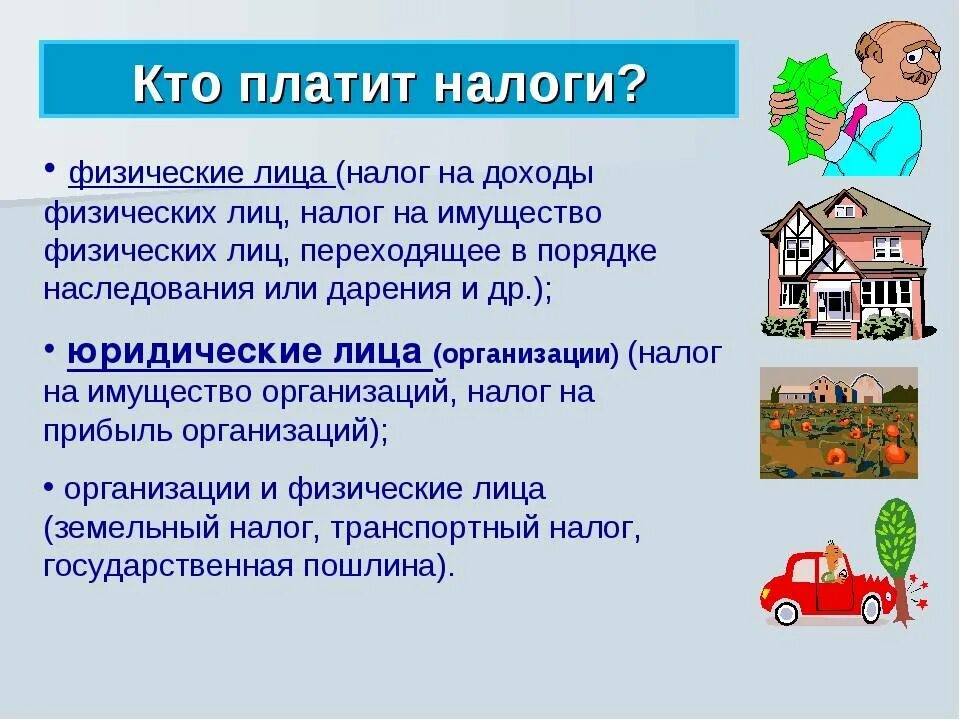 Какие налоги нужно платить физическим лицам. Кто выплачивает налоги. Кто должен платить налоги. Кто платит налоги в России. Какие налоги платят.